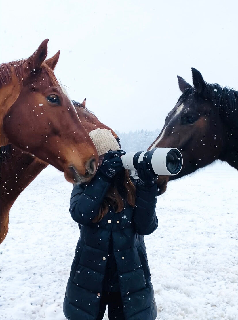 Eine Fotografin in Winterkleidung, umgeben von Schneeflocken, nimmt ein Bild auf, flankiert von drei neugierigen Pferden.